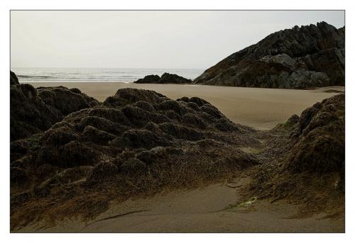 post-1195-0-57318400-1407770824_thumb.jp