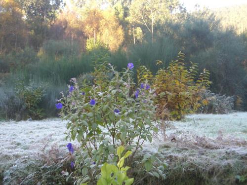 post-1195-0-58191000-1407782999_thumb.jp