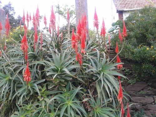 post-1195-0-59094200-1408032580_thumb.jp