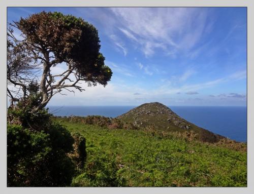 post-1195-0-71607700-1407770936_thumb.jp