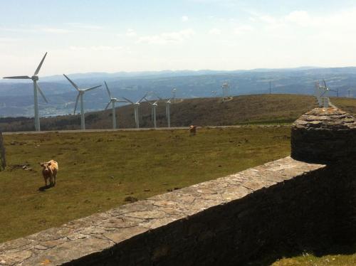 post-1195-0-76805800-1407771005_thumb.jp