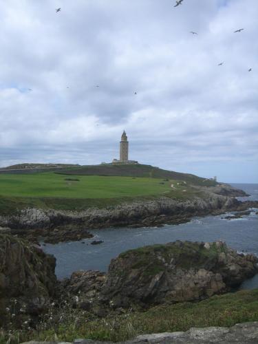 post-1195-0-80273700-1407769642_thumb.jp