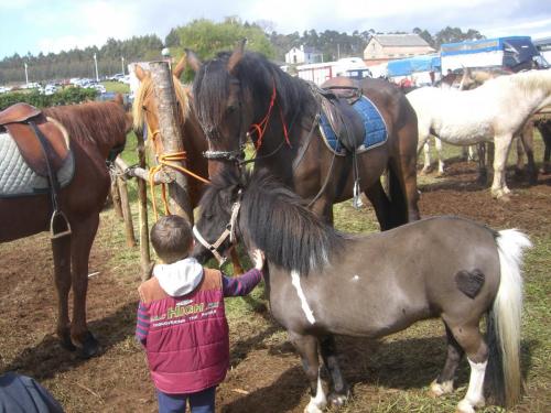 post-1195-0-82845700-1407773523_thumb.jp