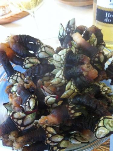 post-1195-0-90512100-1407774004_thumb.jp