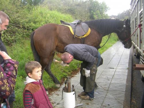 post-1195-0-92881000-1407773466_thumb.jp