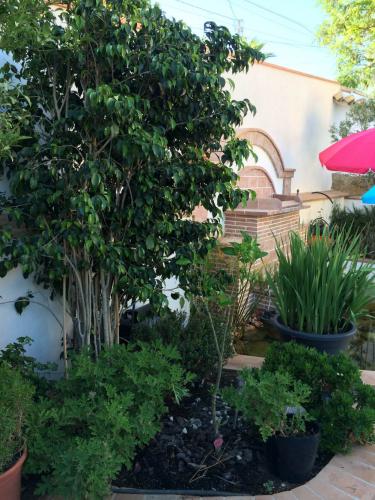 post-1832-0-34016500-1408984799_thumb.jp