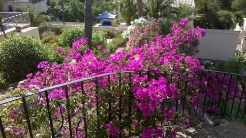 post-1921-0-45907800-1406875225_thumb.jp