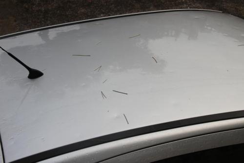 post-1921-0-49044100-1408344868_thumb.jp