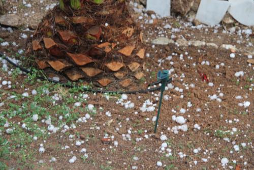 post-1921-0-64562600-1408343873_thumb.jp