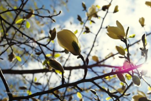 post-2490-0-21462300-1407871209_thumb.jp