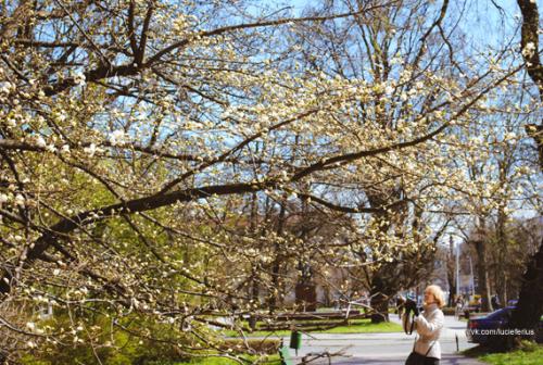 post-2490-0-91108800-1407870924_thumb.jp