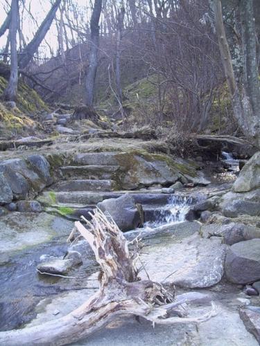 post-2490-0-98129700-1408036630_thumb.jp