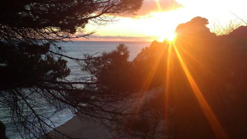 post-2590-0-16880400-1408002233_thumb.jp