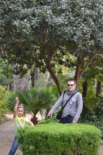 post-3776-0-23600100-1409091835_thumb.jp