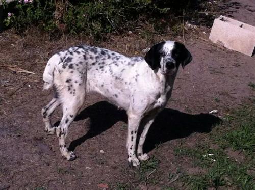 post-4997-0-31994800-1409511752_thumb.jp