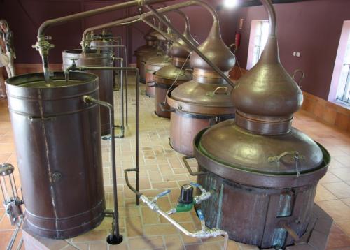 post-1217-0-08754400-1379194467_thumb.jp