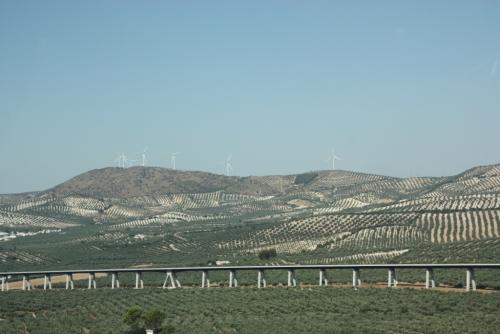 post-1217-0-46339600-1379447575_thumb.jp