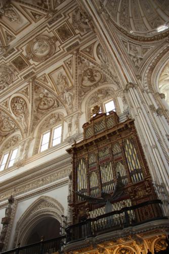 post-1217-0-50189700-1379448742_thumb.jp