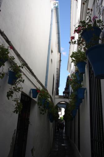 post-1217-0-63375400-1379448820_thumb.jp