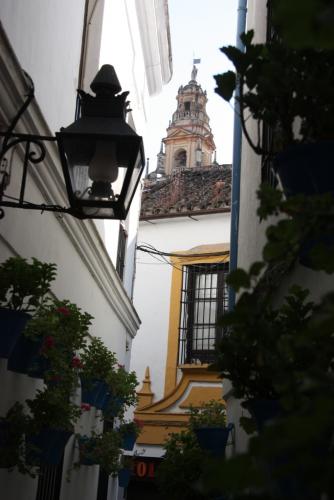 post-1217-0-86365700-1379448836_thumb.jp