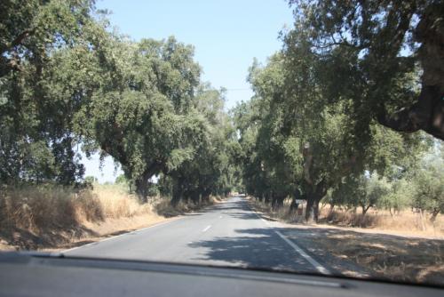 post-1217-0-95144800-1379540436_thumb.jp