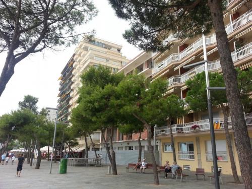 post-1221-0-79518300-1378195838_thumb.jp