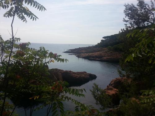 post-1221-0-82687000-1378196481_thumb.jp