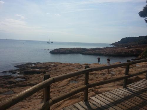 post-1221-0-84394300-1378196309_thumb.jp