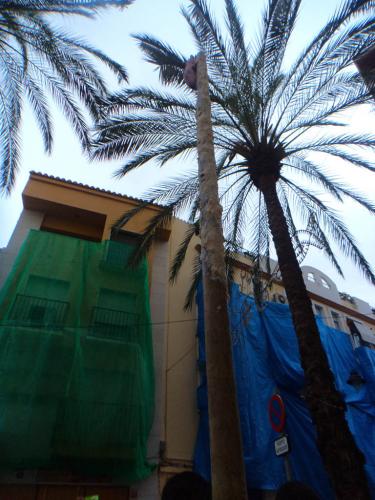 post-1262-0-84437800-1378659200_thumb.jp