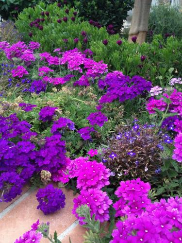 post-1832-0-22187500-1378049984_thumb.jp