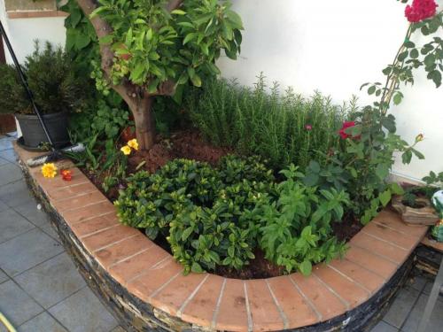 post-1832-0-30040600-1378049798_thumb.jp