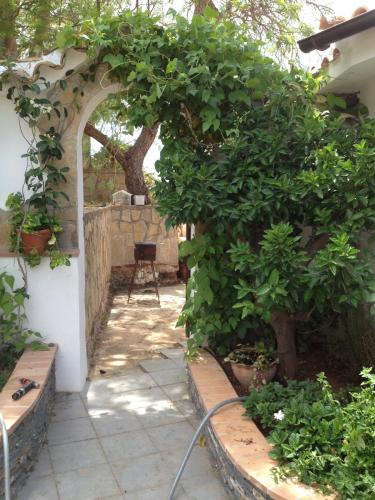 post-1832-0-46905200-1378050274_thumb.jp