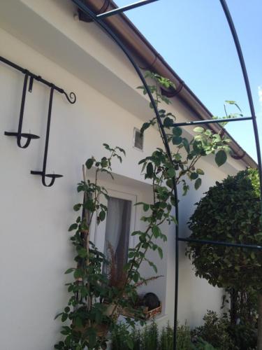 post-1832-0-47493100-1378113976_thumb.jp