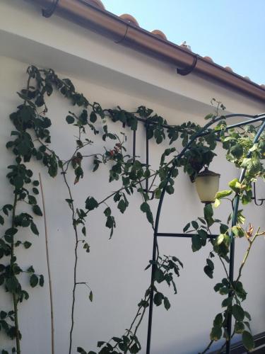 post-1832-0-77517400-1378114203_thumb.jp