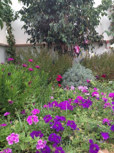 post-1832-0-87912500-1378050145_thumb.jp