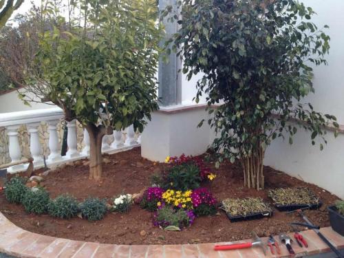 post-1832-0-99595200-1378049575_thumb.jp