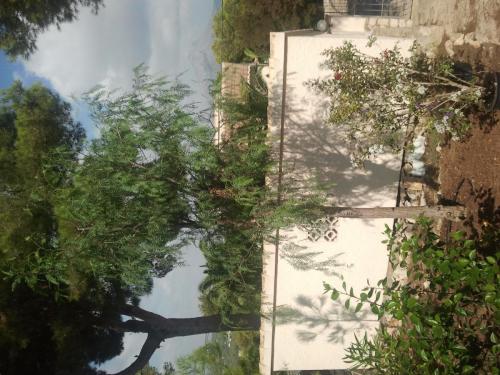 post-1921-0-09364200-1410357348_thumb.jp