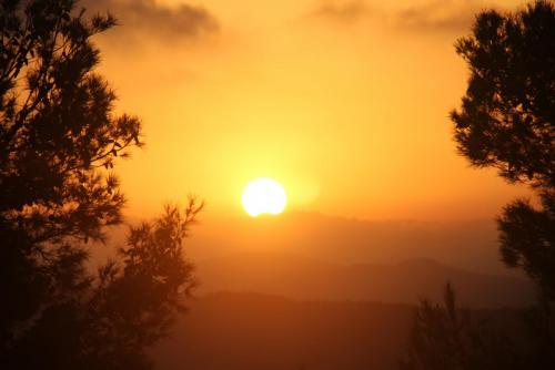 post-1921-0-29255100-1410359330_thumb.jp