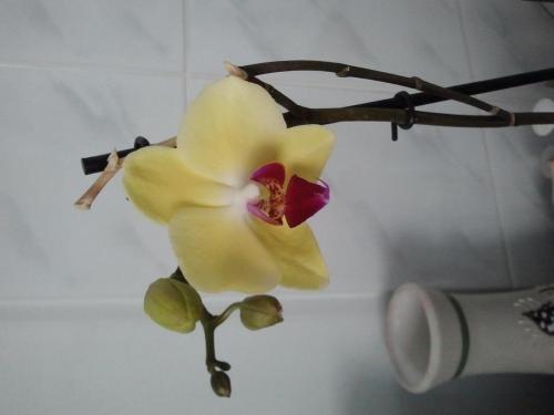 post-1921-0-58346600-1410357204_thumb.jp