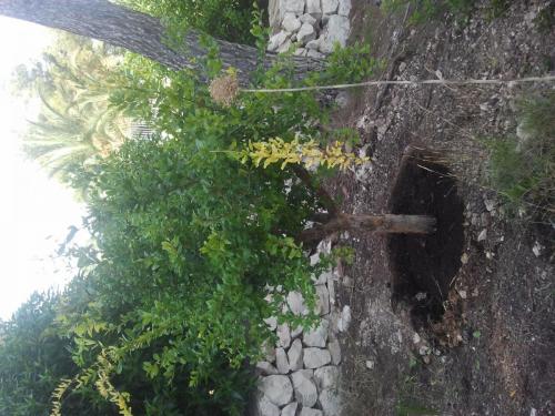 post-1921-0-68058200-1410357404_thumb.jp