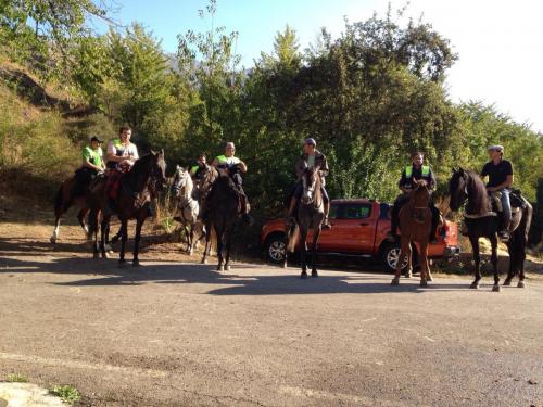 post-2385-0-33198000-1410809767_thumb.jp