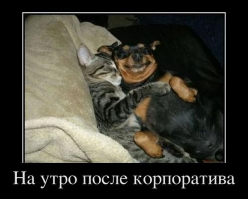 post-2490-0-09870400-1410344458_thumb.jp