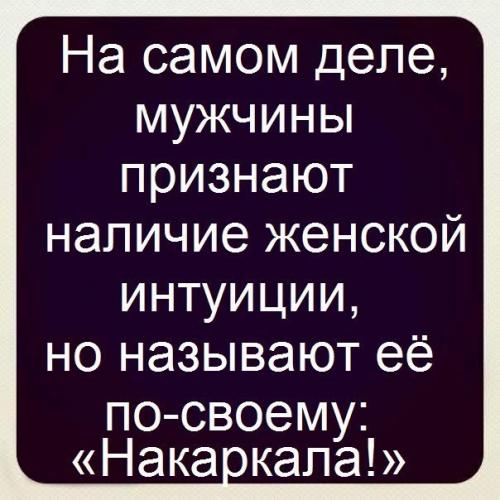 post-2490-0-16561900-1411715782_thumb.jp