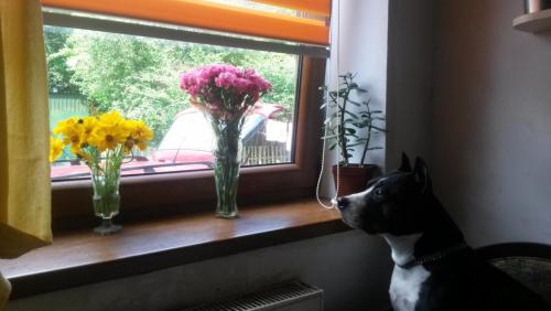 post-2490-0-18239200-1409680116_thumb.jp