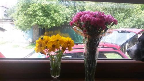 post-2490-0-24669700-1409680049_thumb.jp