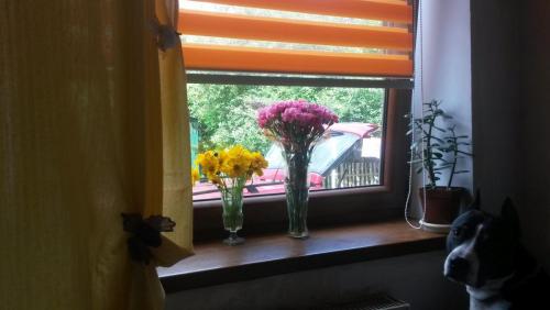 post-2490-0-59930400-1409679968_thumb.jp