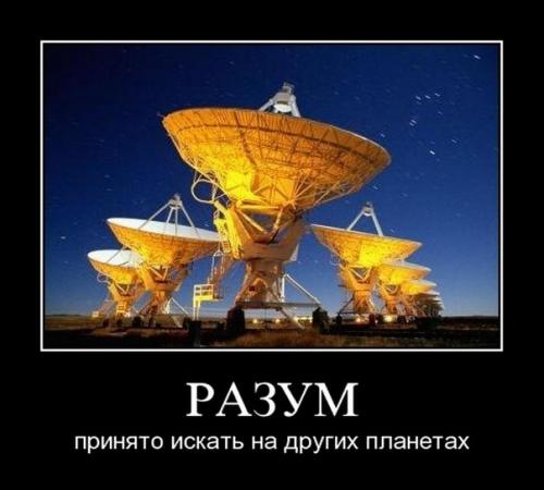 post-2490-0-66277800-1409669709_thumb.jp