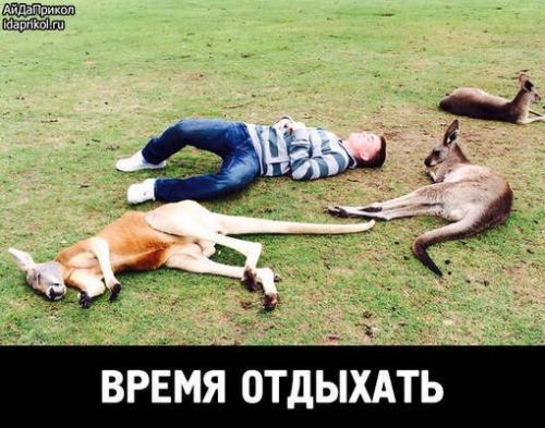 post-4696-0-04745900-1410536564_thumb.jp