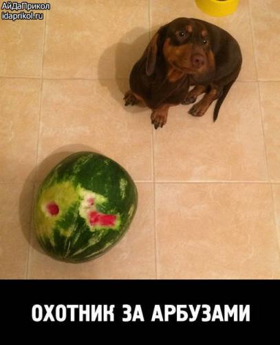 post-4696-0-11322300-1410536576_thumb.jp