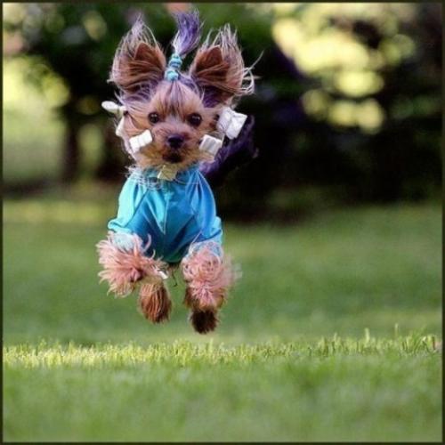 post-4696-0-64642400-1410536547_thumb.jp